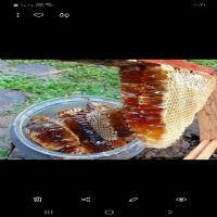 عسل-طبیعی-سبلان